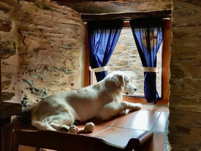 Casa Rural Bierzo Encantado Valle de Finolledo Kültér fotó